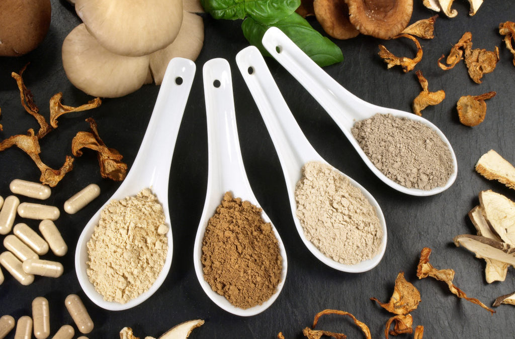 Rostlinné adaptogeny s imunostimulačními účinky